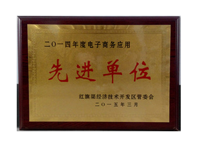 電子商務應用先 進(jìn)單位
