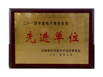 電子商務應用先 進(jìn)單位